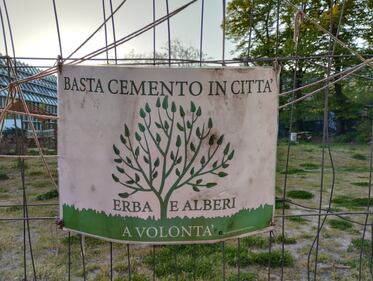 Appello al Comune per salvare gli alberi del giardino Lea Garofalo  7