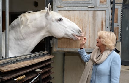 Carlo e Camilla alla Scuola di equitazione spagnola di Vienna 4