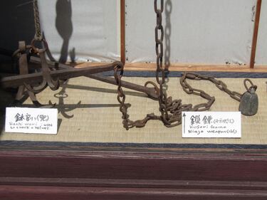 A Takayama, sul ponte dei "mostri" a difesa della tradizione 4