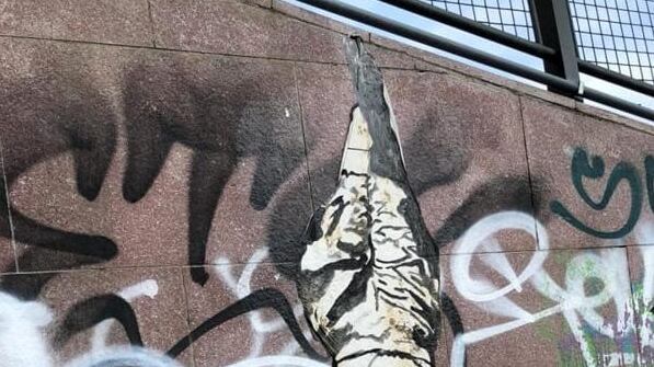 Salvini appeso come Mussolini: il murales choc che indigna Torino