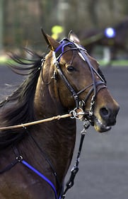 Varenne