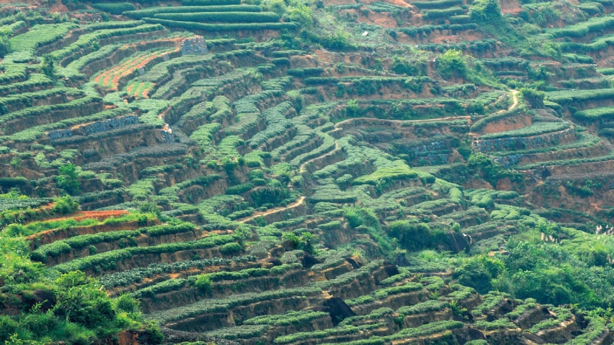 Lo sviluppo rurale della Cina: così Pechino ha rivitalizzato le sue campagne