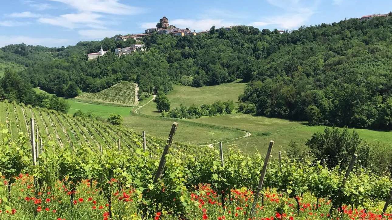 Vicara, il Monferrato rock