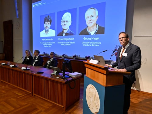 L’alga che “illumina” il cervello. Nobel al trio dell’optogenetica