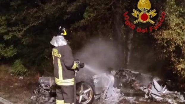 Ecco cosa succede se una Ferrari incontra per strada un cinghiale