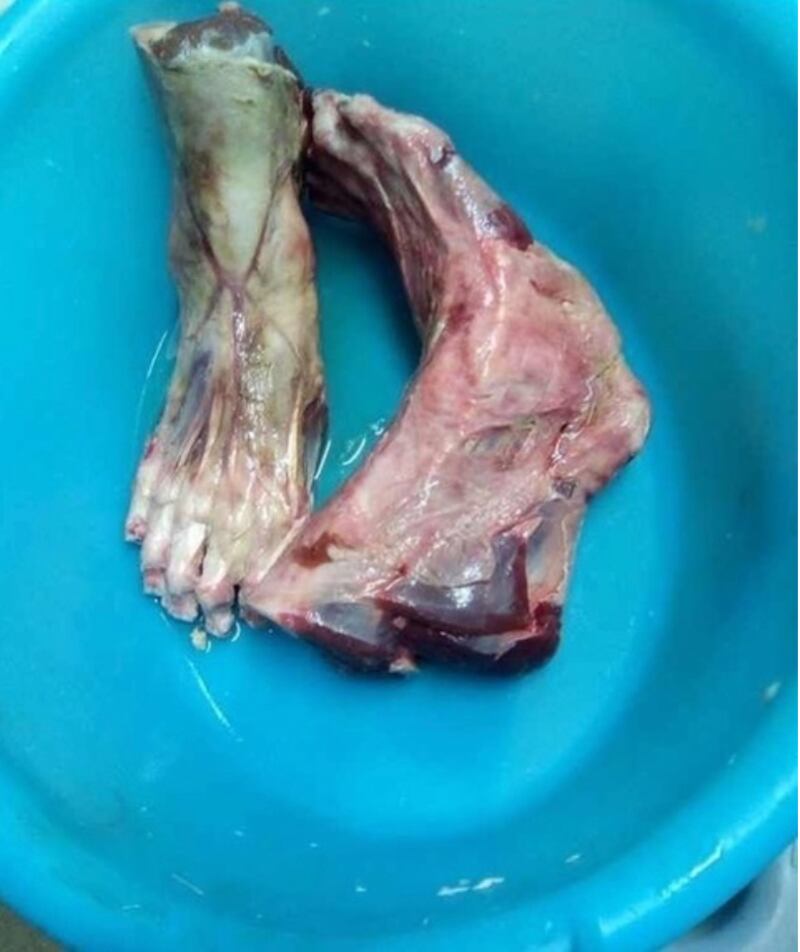 foto piedi choc