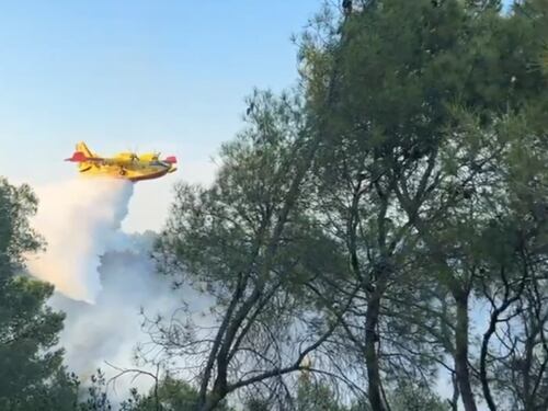 Incendio nel Gargano turisti in fuga dal villaggio: paura per mille persone