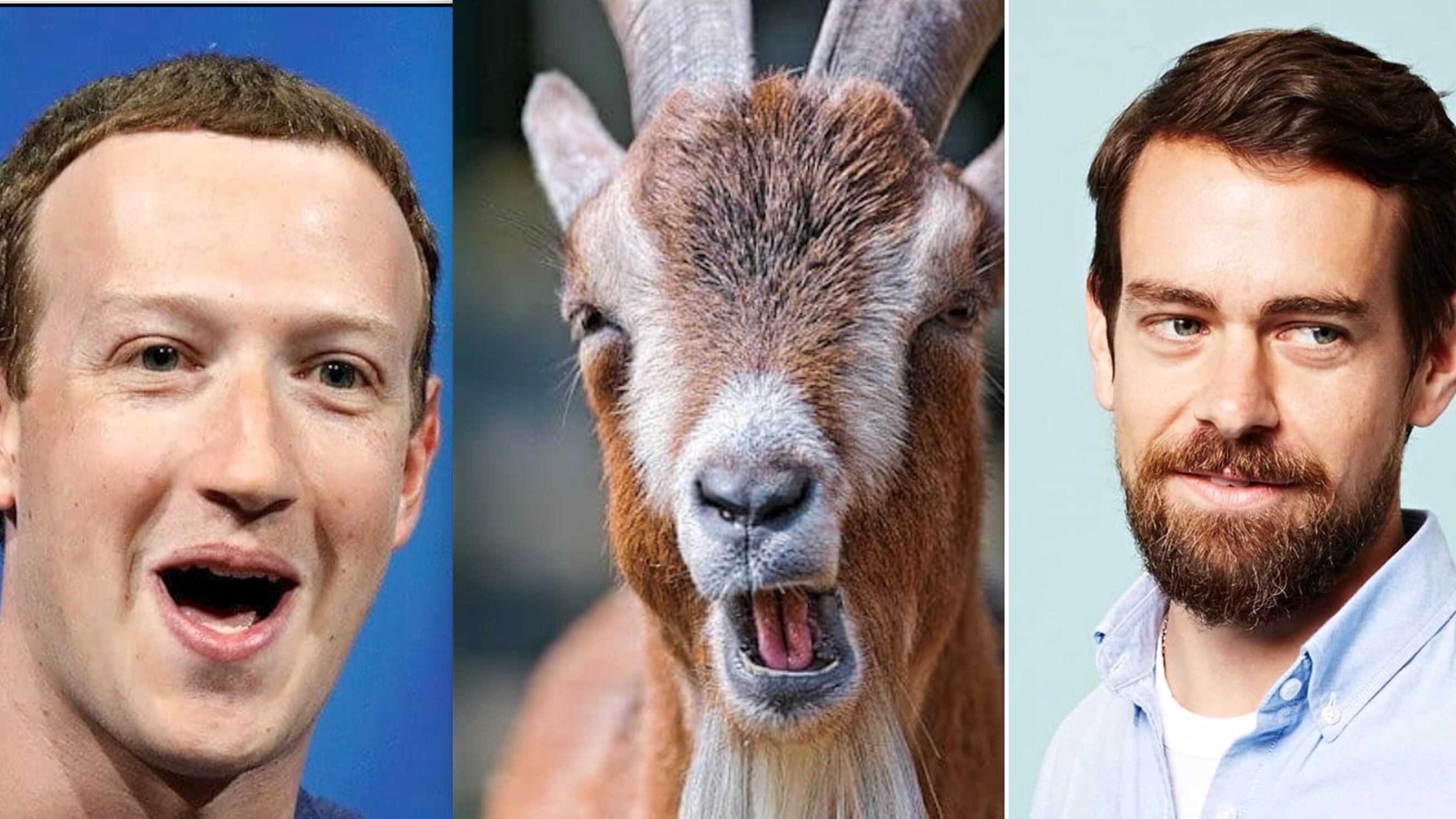 Zuckerberg dà una capra per cena al fondatore di Twitter