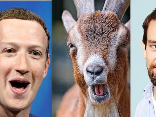 Zuckerberg dà una capra per cena al fondatore di Twitter