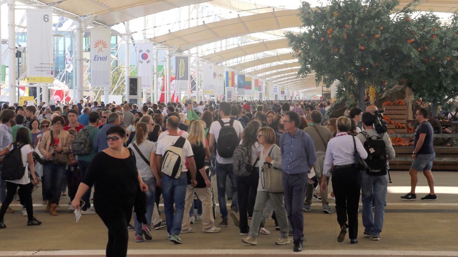 Expomania, sabato record con 259.093 visitatori
