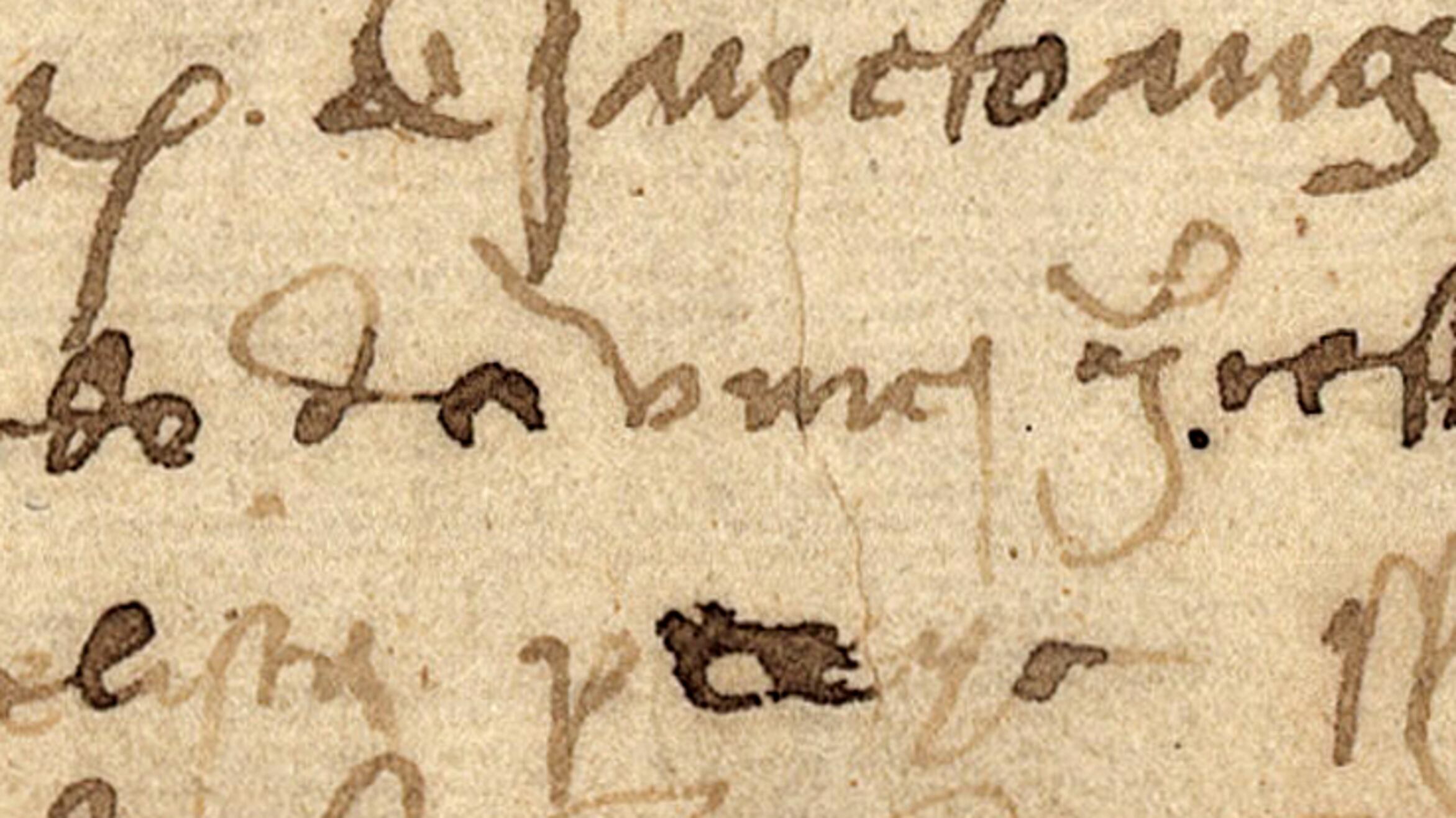 Il genio di Leonardo nella grafia