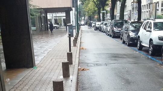 Mestre, migrante pulisce la strada dalle foglie: i vigili gli danno la multa