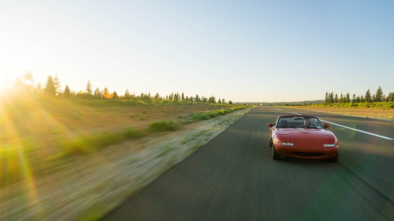 Cinetosi, i rimedi naturali per combattere il mal d'auto