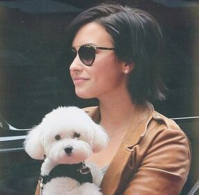 Demi Lovato in Instagram 18
