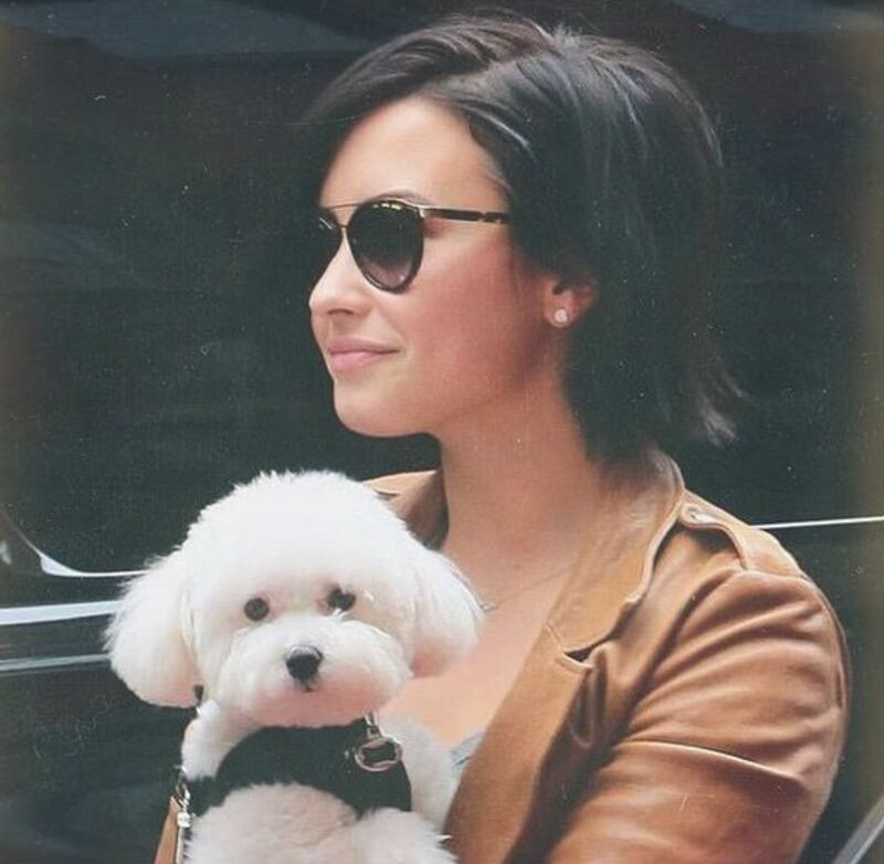 Demi Lovato in Instagram 18