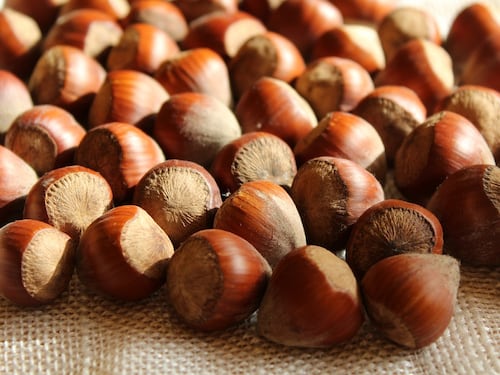 Le nocciole, tutti i buoni motivi per mangiarle
