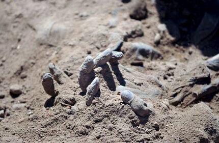 Iraq, trovate 10 fosse comuni con 1700 soldati iracheni 1