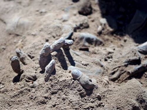Iraq, trovate 10 fosse comuni con 1700 soldati iracheni