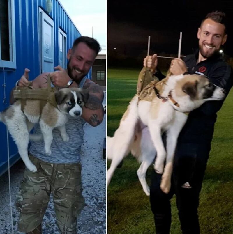 Sean e Barrie, cane e soldato Siria