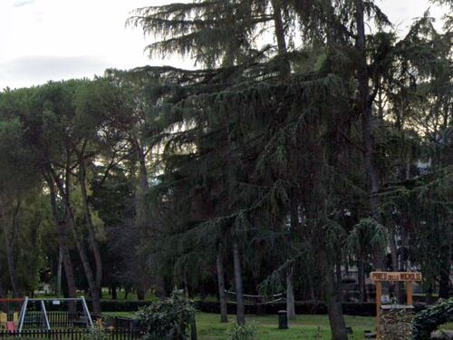Compleanno al parco: picchiato dal branco con un bastone. Bulli di 7, 9 e 11 anni