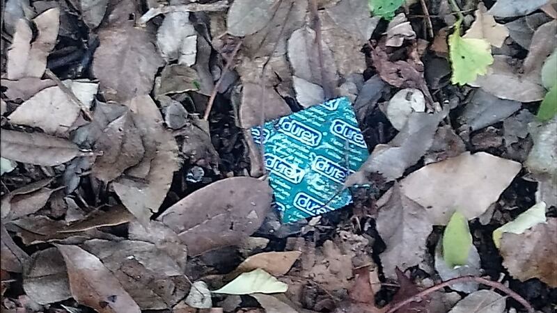 Il degrado di Villa Doria Pamphilij 5
