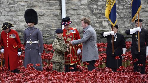 Torre di Londra, il campo di papaveri per l'"Armistice Day" 10