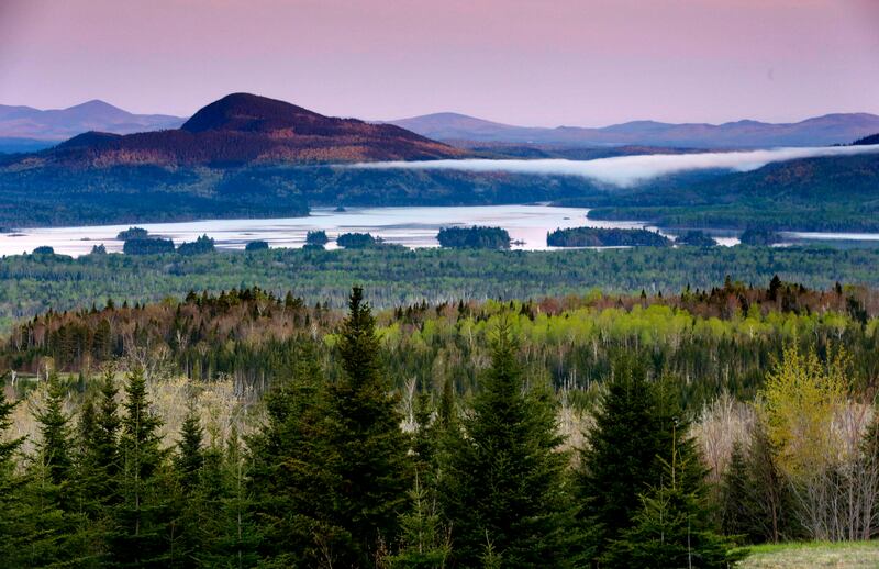 I boschi di North Pond, nel Maine