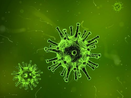 L’Escherichia Coli può causare le malattie cardiovascolari