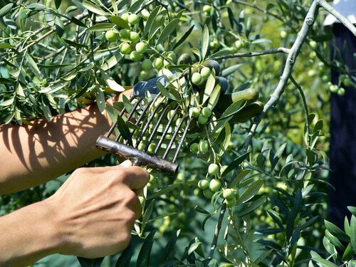 Forza Italia propone di istituire un ministero del "made in Italy"