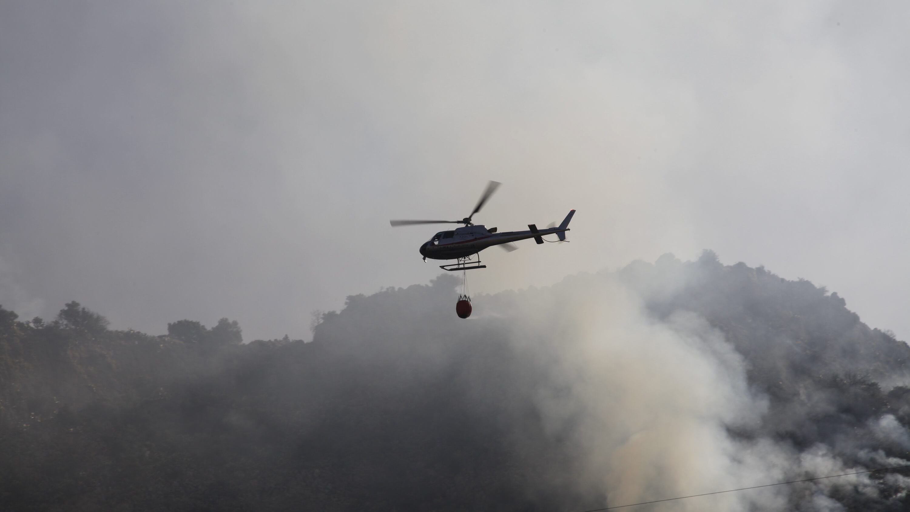 "Potenziare la flotta aerea antincendio dell'UE". Interrogazione urgente al Parlamento Europeo