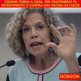 La satira del giorno. L'investimento della Cirinnà 1