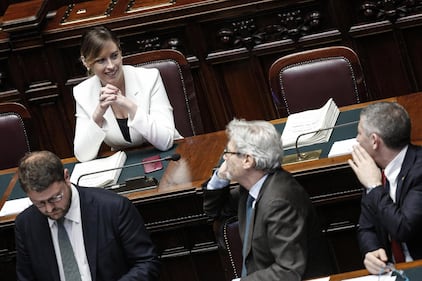 Boschi arcobaleno per la fiducia alle unioni gay 8