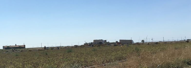 Foggia, al posto del "Gran Ghetto" oggi sorge un camping abusivo 5