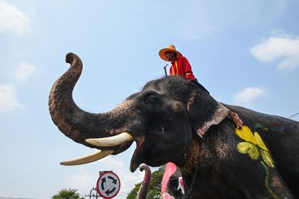 In Thailandia si festeggia il Songkran Festival 6