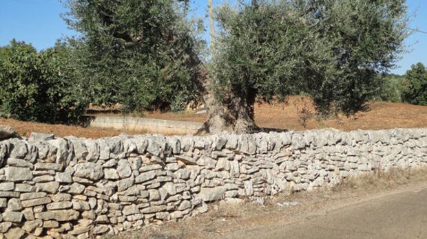 Melendugno, i No Tap danneggiano gli antichi muri a secco