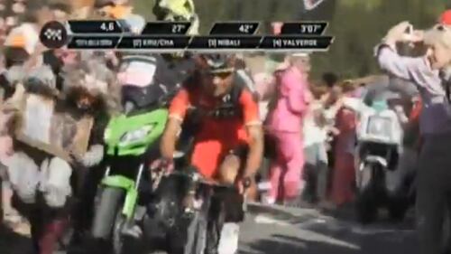 Tifoso vestito da leopardo investito al Giro d'Italia 2