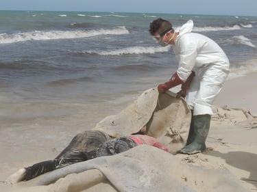 I cadaveri dei migranti sulla spiaggia libica 9