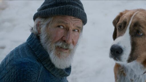 "Il richiamo della foresta", un film per famiglie che arriva al cuore