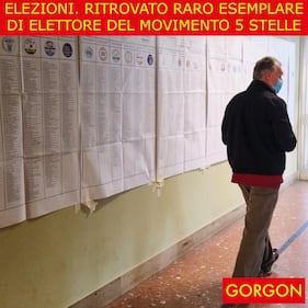 Ecco la satira del giorno. Ritrovato raro elettore 1
