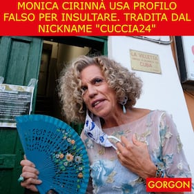 Ecco la satira del giorno. Il profilo falso della Cirinnà 1