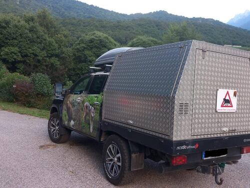 L'orsa JJ4 trasferita in Germania