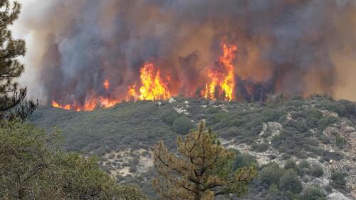 California devastata dagli incendi 18