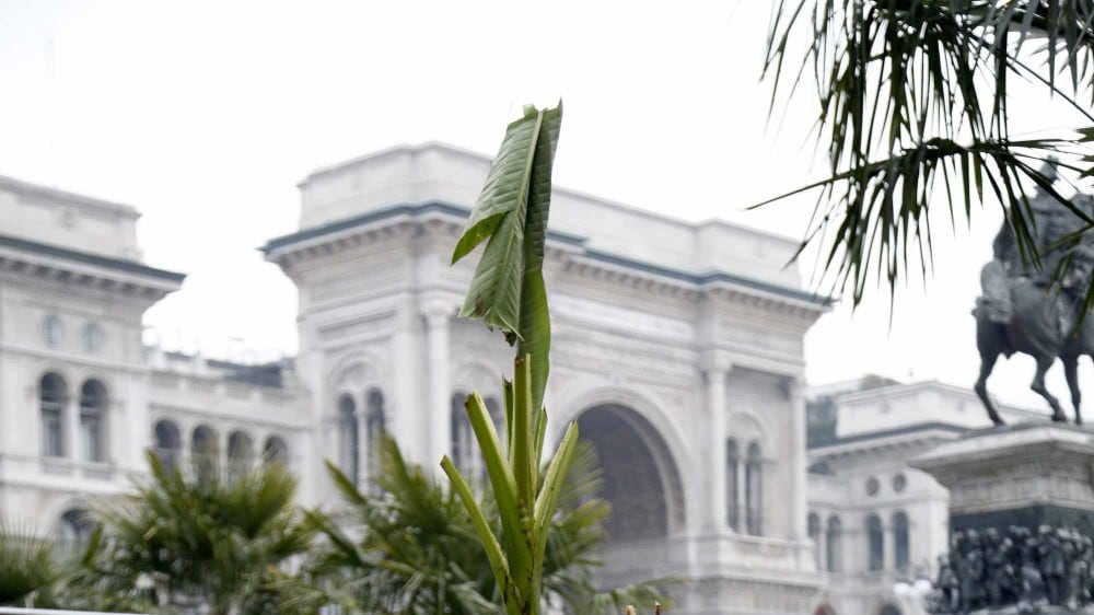 Dopo le palme i banani Maroni: «La mia Africa, ora mancano le scimmie»