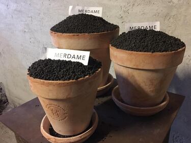 Il museo dello sterco 9