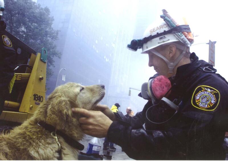 11 settembre cani FDNY