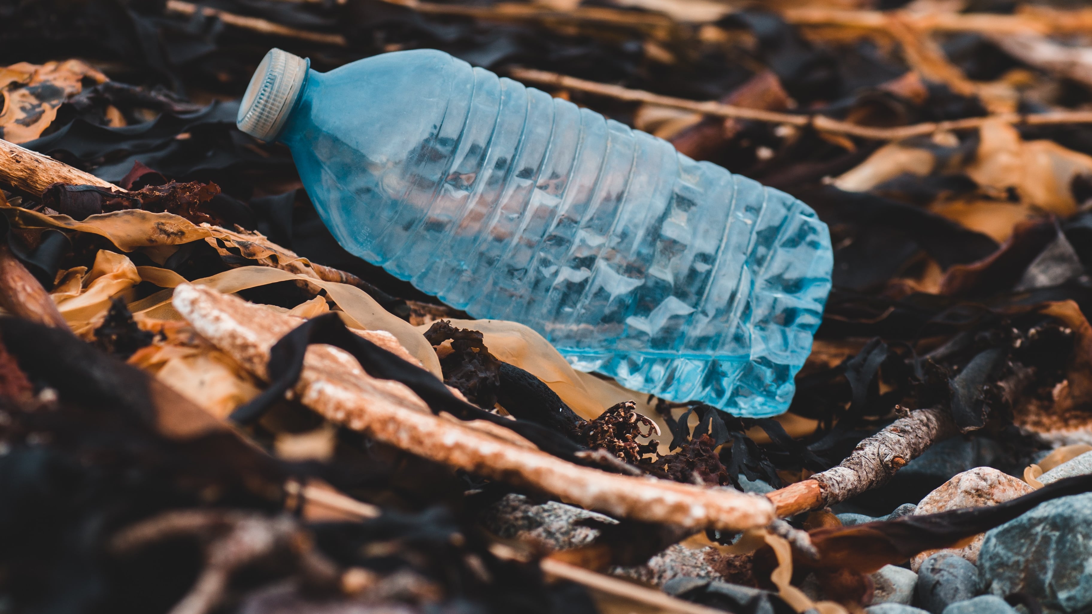 5 buone abitudini per ridurre l'uso della plastica