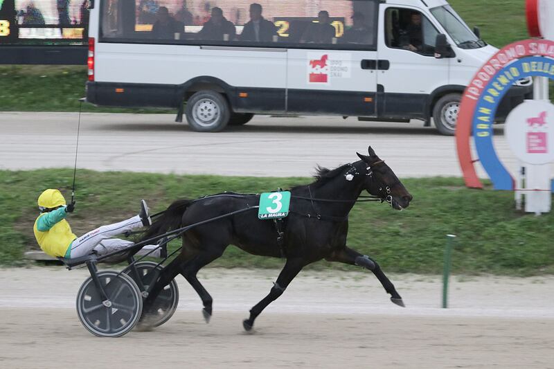 Vivi wide As vincitore del GP nazioni 2023 (f.te Ippodromo Snai San Siro)