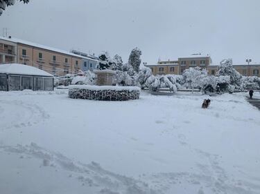 Scuole chiuse e strade bloccate: la neve in Molise 5