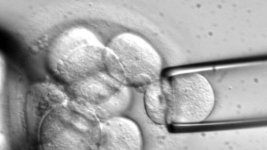 Modificati geni di embrioni umani: è la prima volta