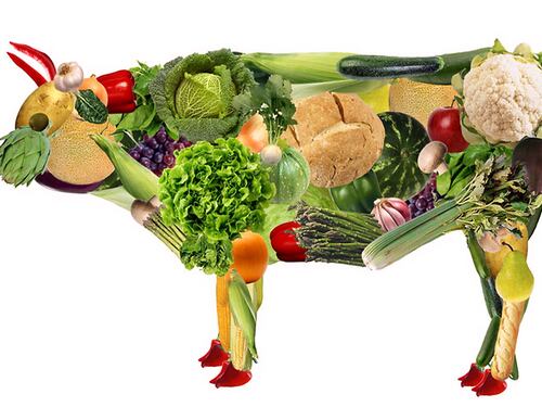 "I vegetariani non esistono": la dimostrazione dell'esperto in 3 punti